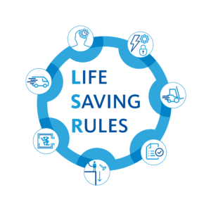 Life Saving Rules programma logo